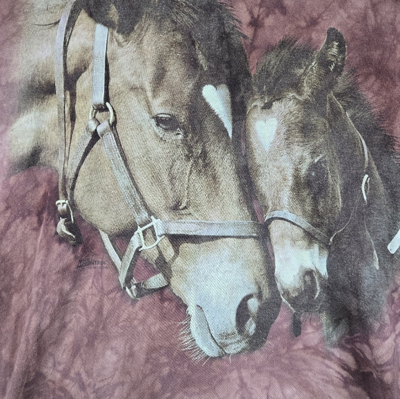 The Mountain T-Shirt. Size 2XL - Picture 2 of 6